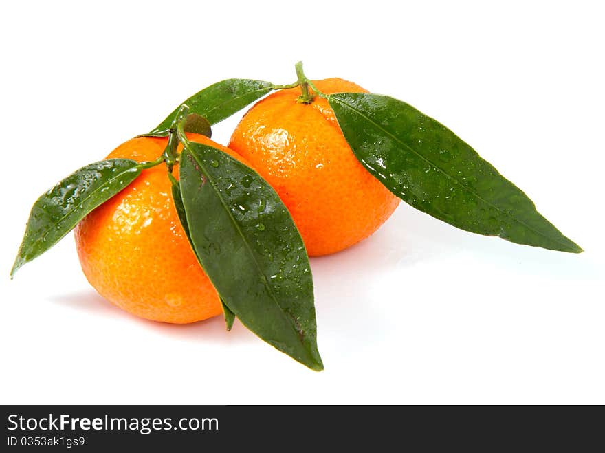 Mandarin oranges with fresh green leaves