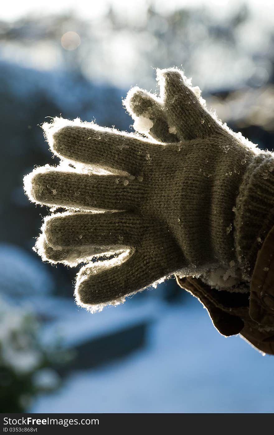 Grey gloves with snow lightened by the sun in the afternoon, hands open. Grey gloves with snow lightened by the sun in the afternoon, hands open