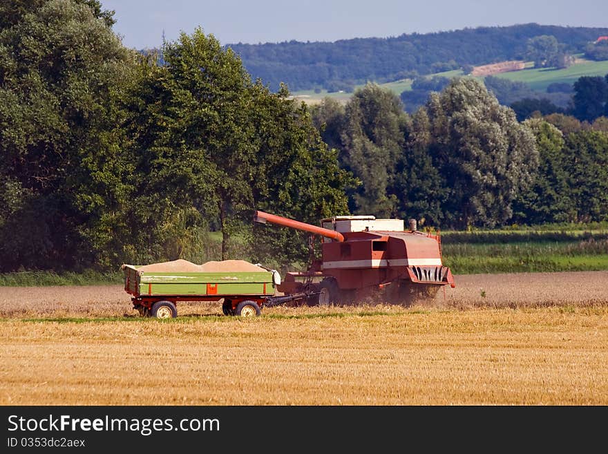 A combine harvester working a cornfield, besides a trailer. A combine harvester working a cornfield, besides a trailer