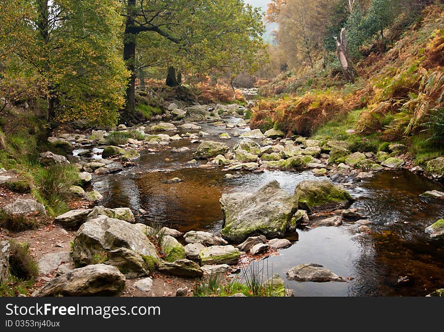 Autumn in a valley,Ireland,Wicklow Mountains