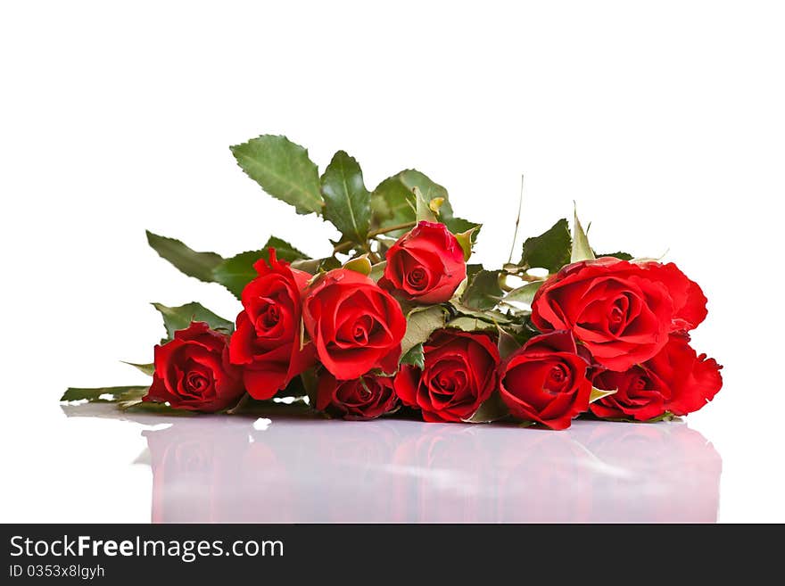 Red roses on white isolated background valentine's day