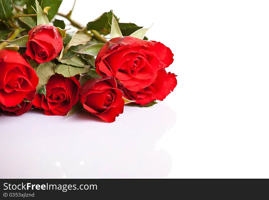 Red roses on white isolated background