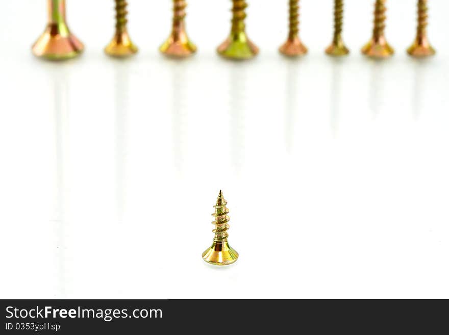 Screws are photographed against a white background