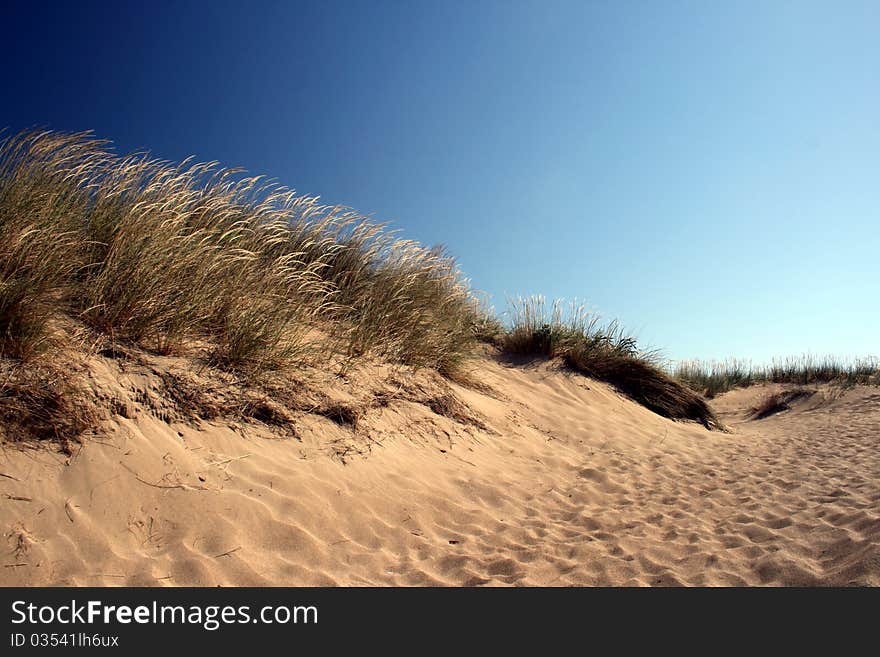 Beach idyll