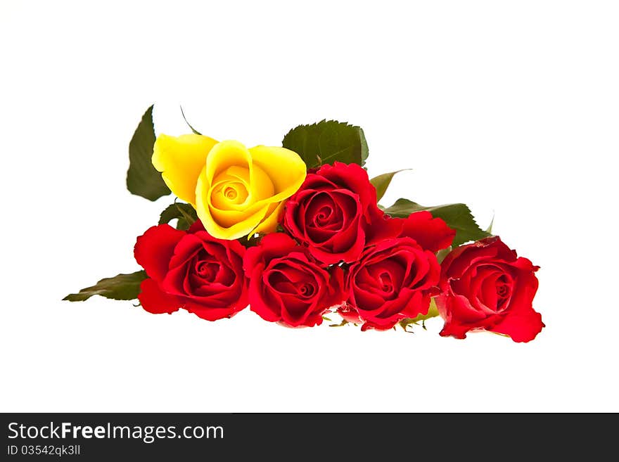 Valentine's day red roses isolated on white