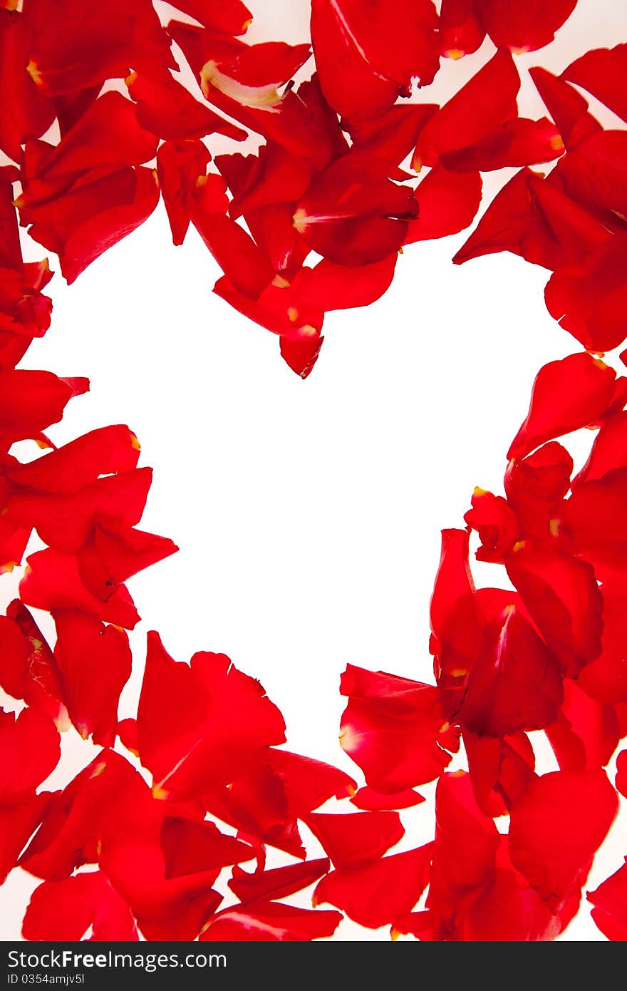 Red rose petals isolated on white - Valentine's Day