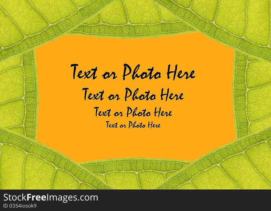 Natural leaf frame with space for text on orange. Natural leaf frame with space for text on orange