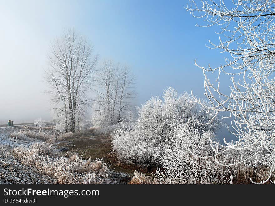 Frosty, misty morning