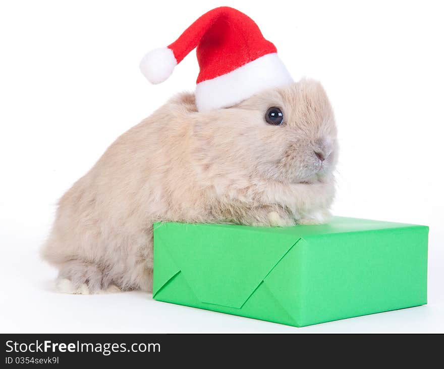 Brown rabbit in santa hat and a green christmas box, isolated. Brown rabbit in santa hat and a green christmas box, isolated