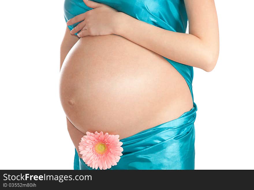 Pregnant tummy on an isolated white background. Pregnant tummy on an isolated white background