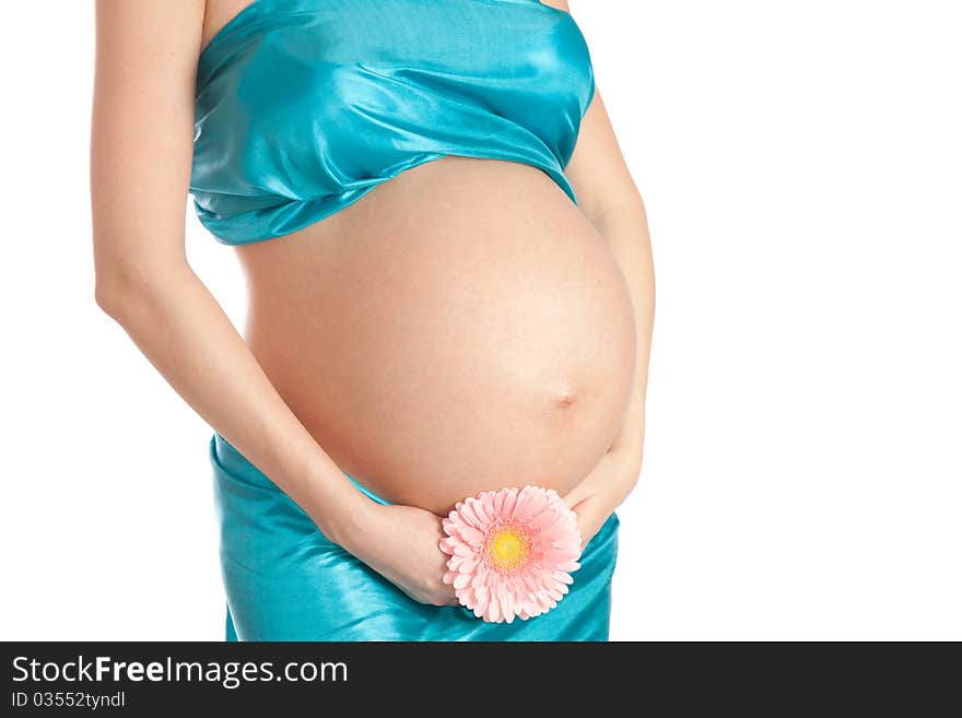 Pregnant tummy on an isolated white background. Pregnant tummy on an isolated white background