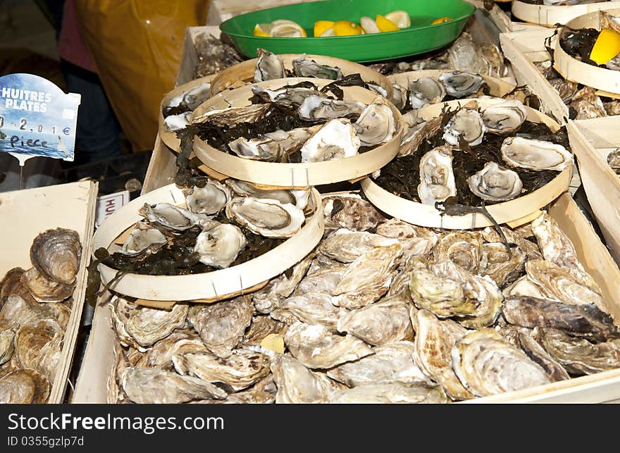 Oysters on display at French Market