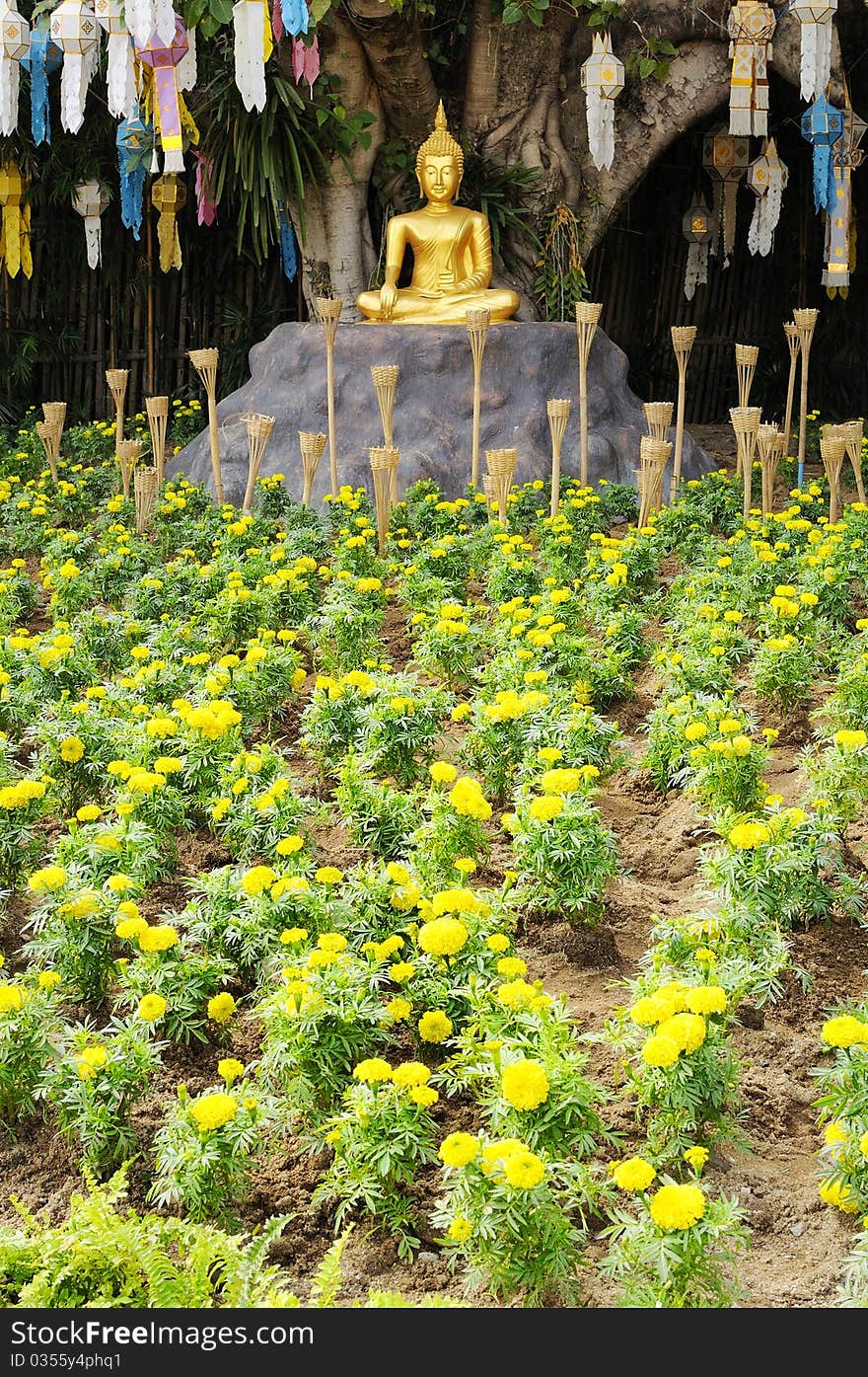 Meditation Buddha statue in garden