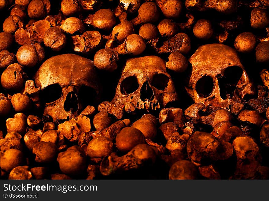 Human skulls and other bones