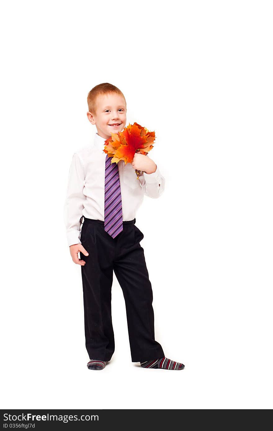 Boy   With Autumn Leaves