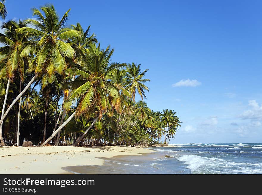 Caraïbean beach with blue sky and clouds. Caraïbean beach with blue sky and clouds