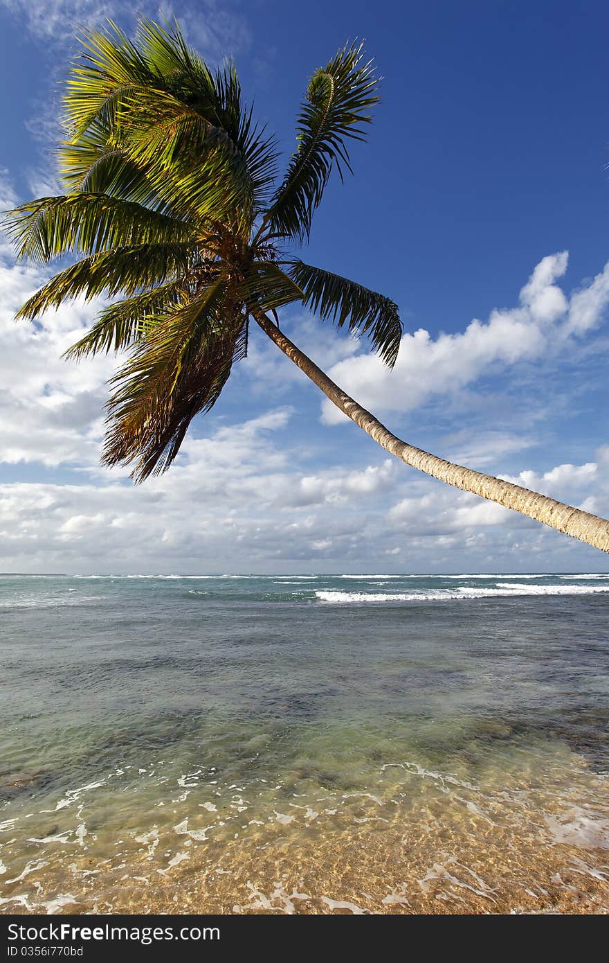 Caraïbean beach with blue sky and clouds. Caraïbean beach with blue sky and clouds