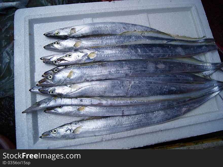 Marine fish, marine fish from the sea salvage back, very fresh; now lying in the market, waiting for people to purchase. Fish, is that people particularly like to eat marine life.