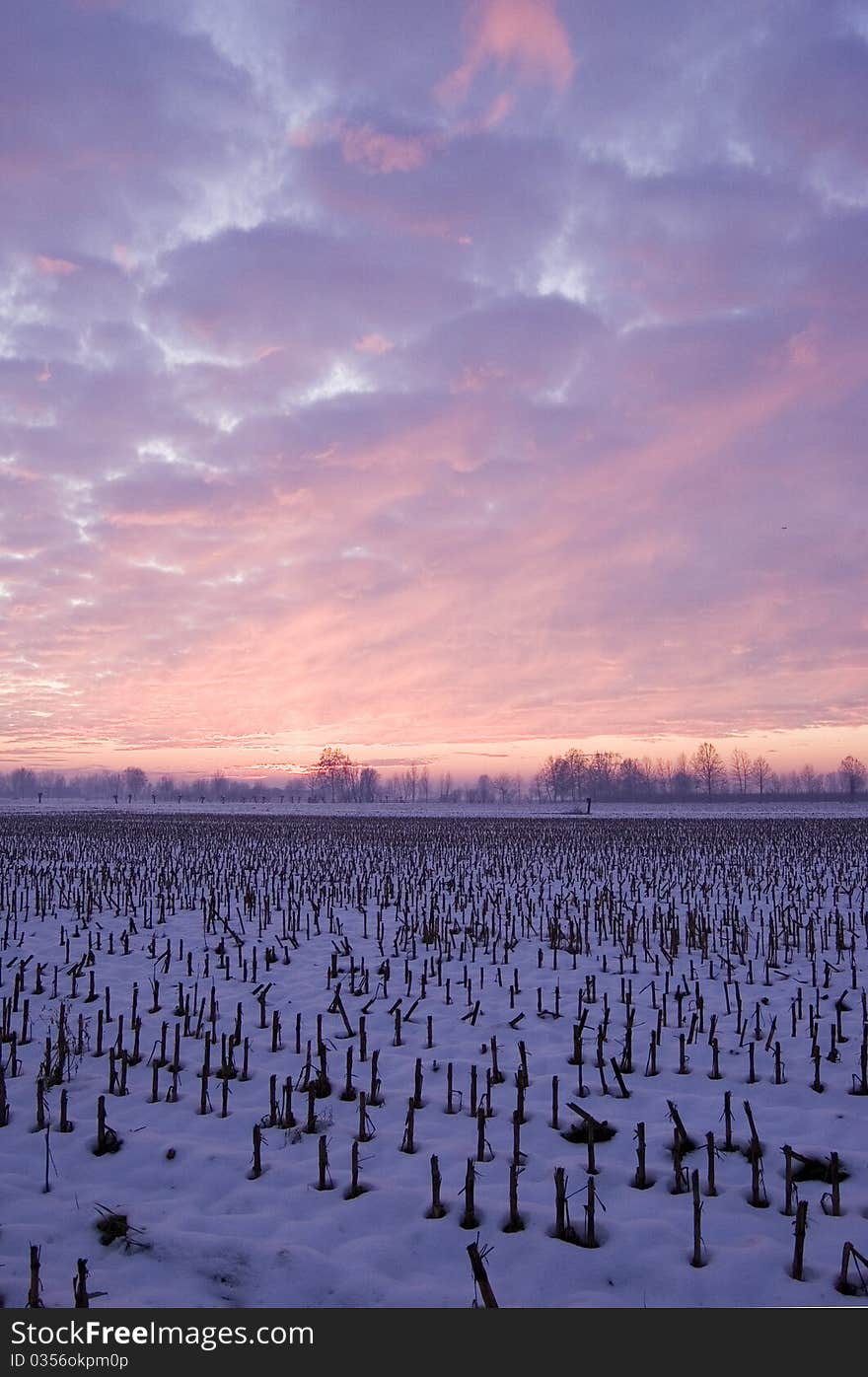 Cloudy sunset after a snowy day. Cloudy sunset after a snowy day