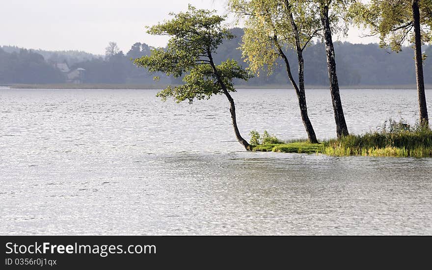 Galve lake. Autumn. Forest on a island.