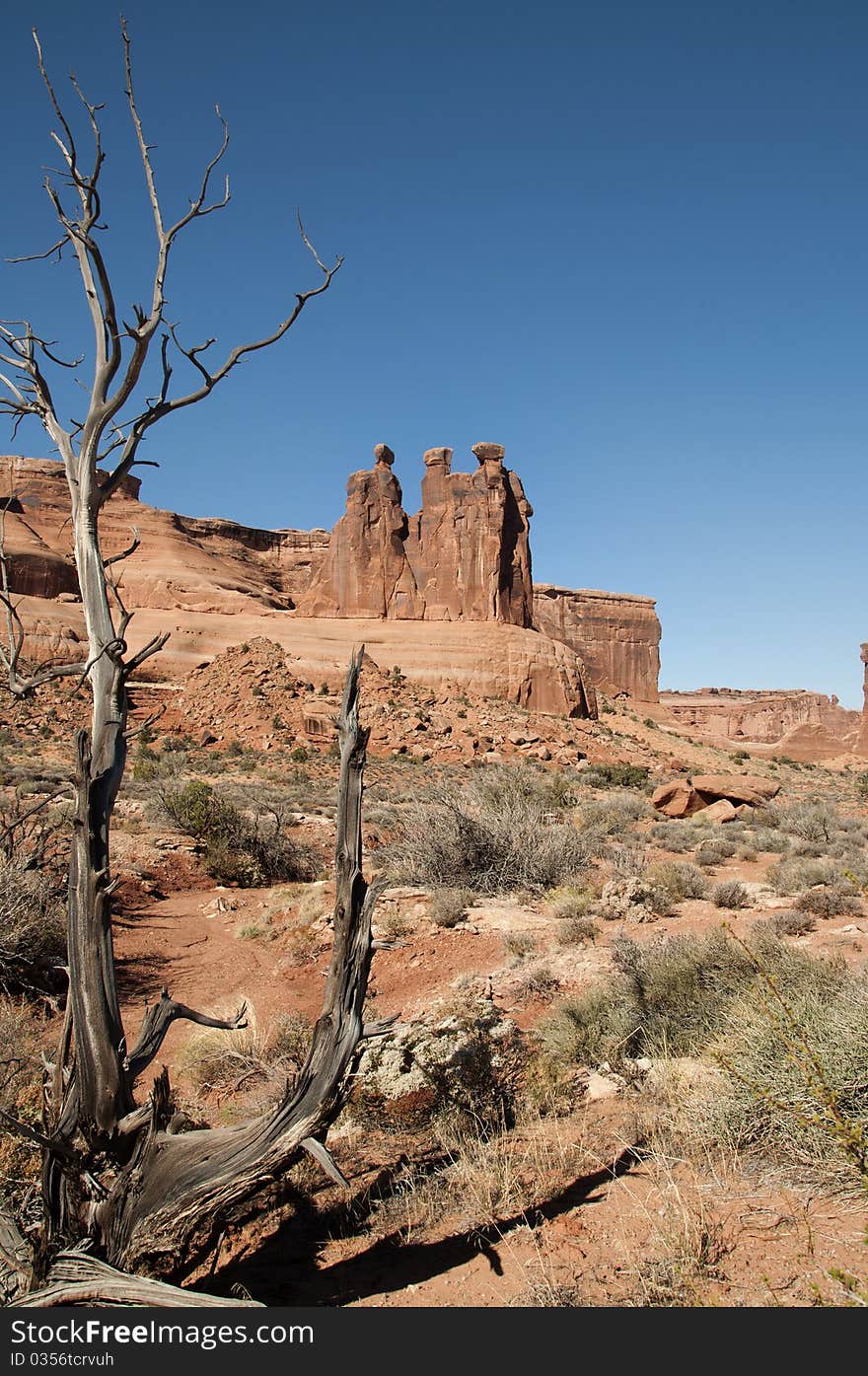 Arches National Park