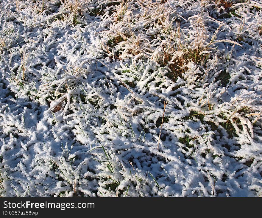 Texture of frozen grass with snow and ice above. Texture of frozen grass with snow and ice above