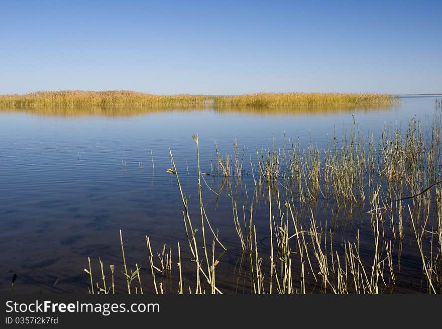 Quiet autumn lake