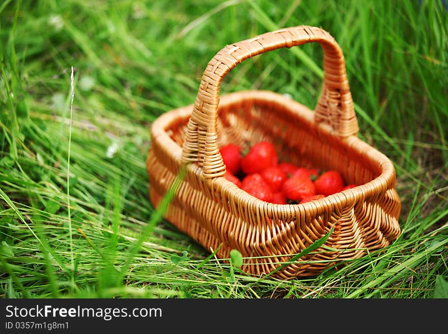 Sweet strawberry in woman hands