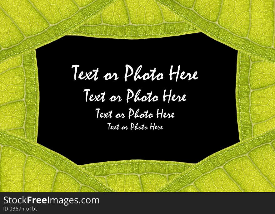 Natural leaf frame with space for text on black