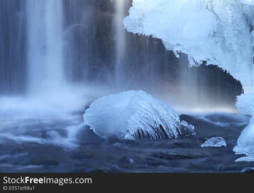 Frozen octopus