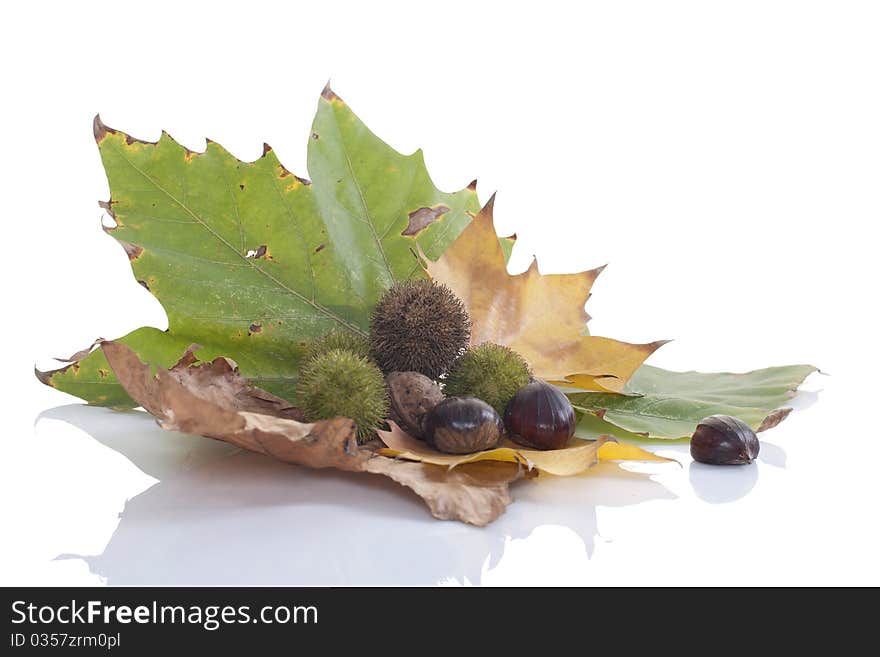 Autumn leaves, nuts and chestnuts. Autumn leaves, nuts and chestnuts