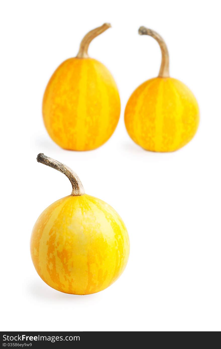 Three small decorative pumpkin on white background