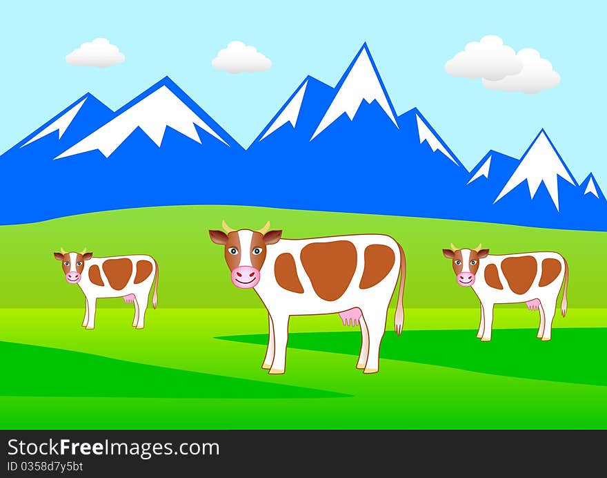 Three cows on the meadow