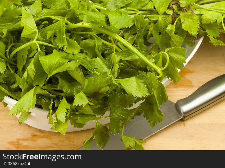 Fresh green celery leaves