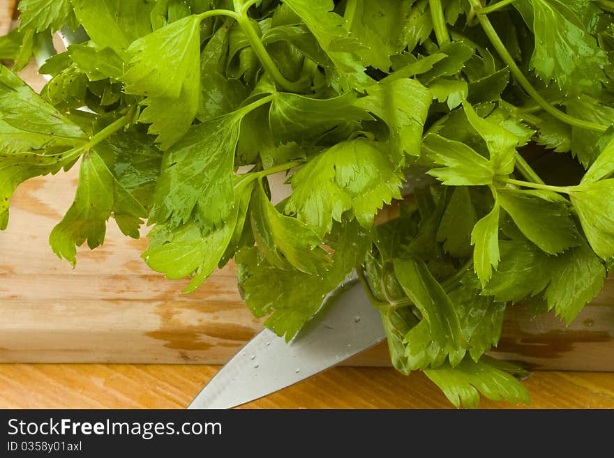 Fresh Green Celery Leaves