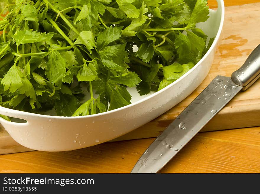 Fresh green celery leaves