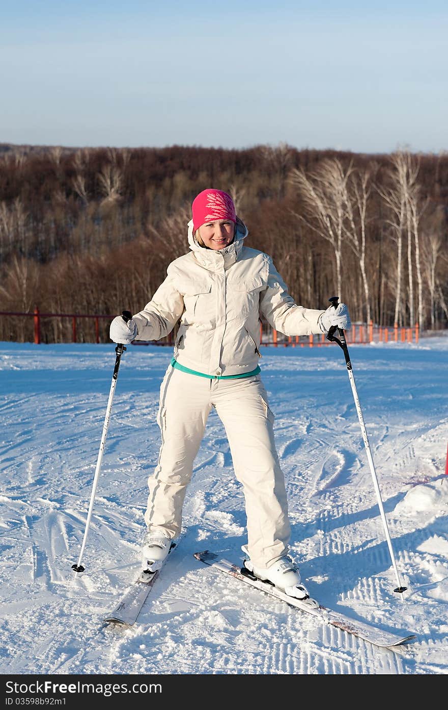 The skier standing on a slope