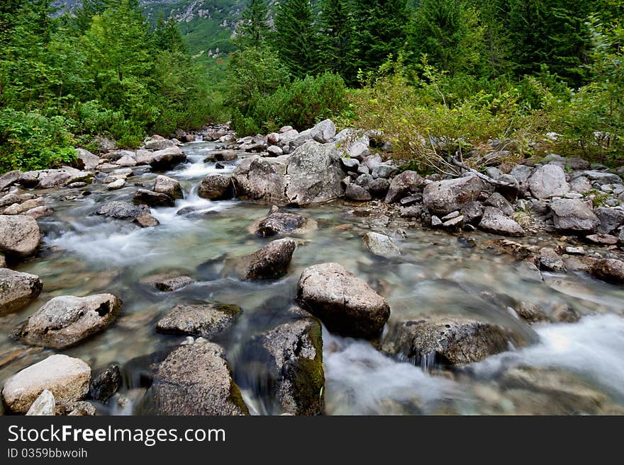 Peaceful mountain stream flows through lush forest