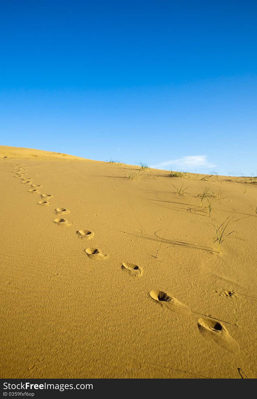 Footprints On The Desert