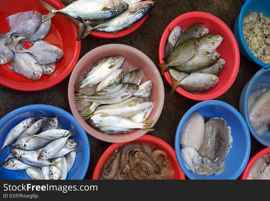 Different kind of fish selling in market