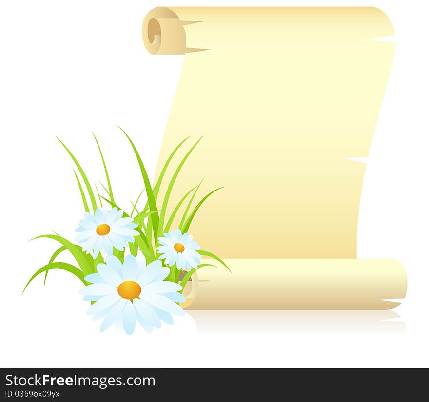 Manuscript with camomiles and grass. Vector illustration, isolated on a white. Manuscript with camomiles and grass. Vector illustration, isolated on a white.