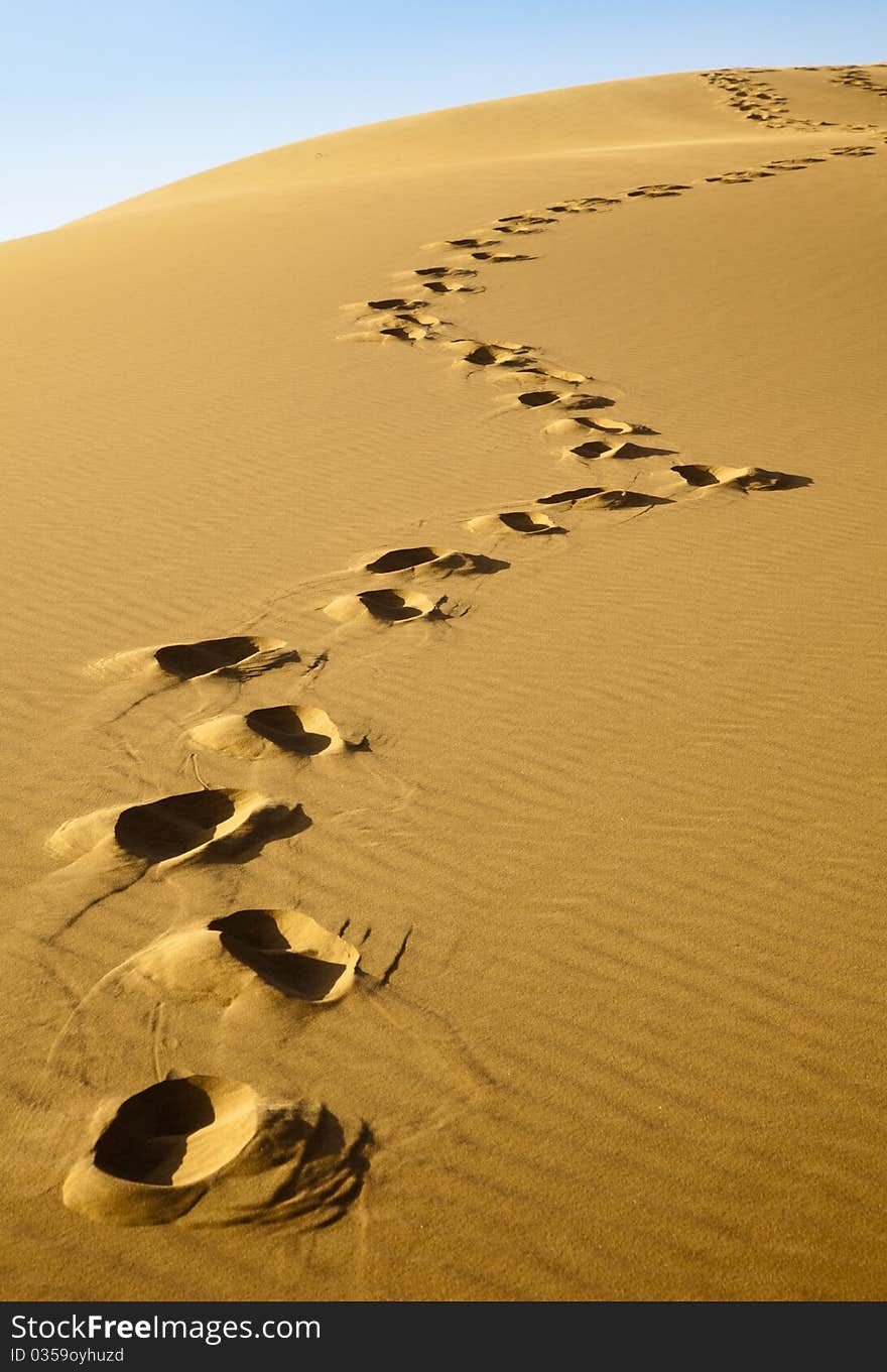 Inner Mongolia, China EJINAQI of Sand desert. Inner Mongolia, China EJINAQI of Sand desert.