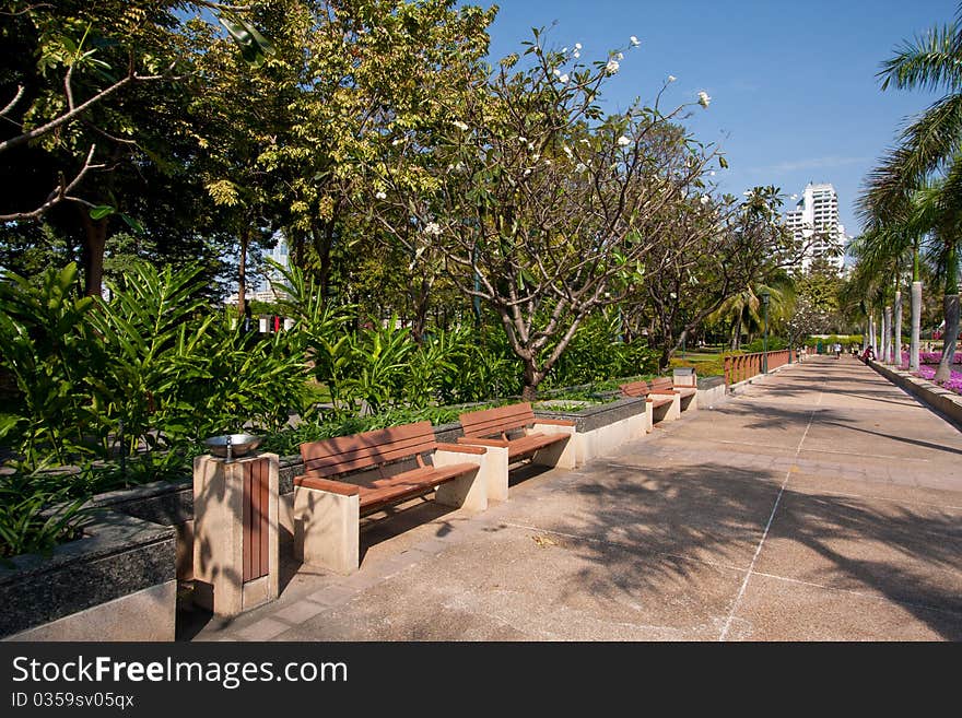 Wooden bench in the park.