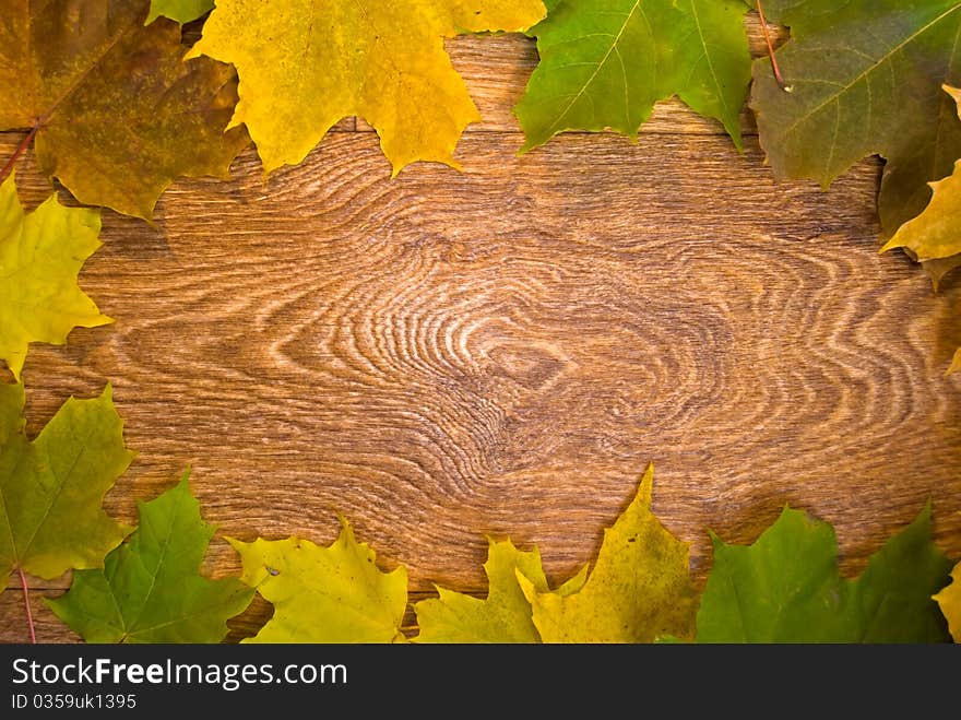 A frame from marple leaves over wooden desk. A frame from marple leaves over wooden desk