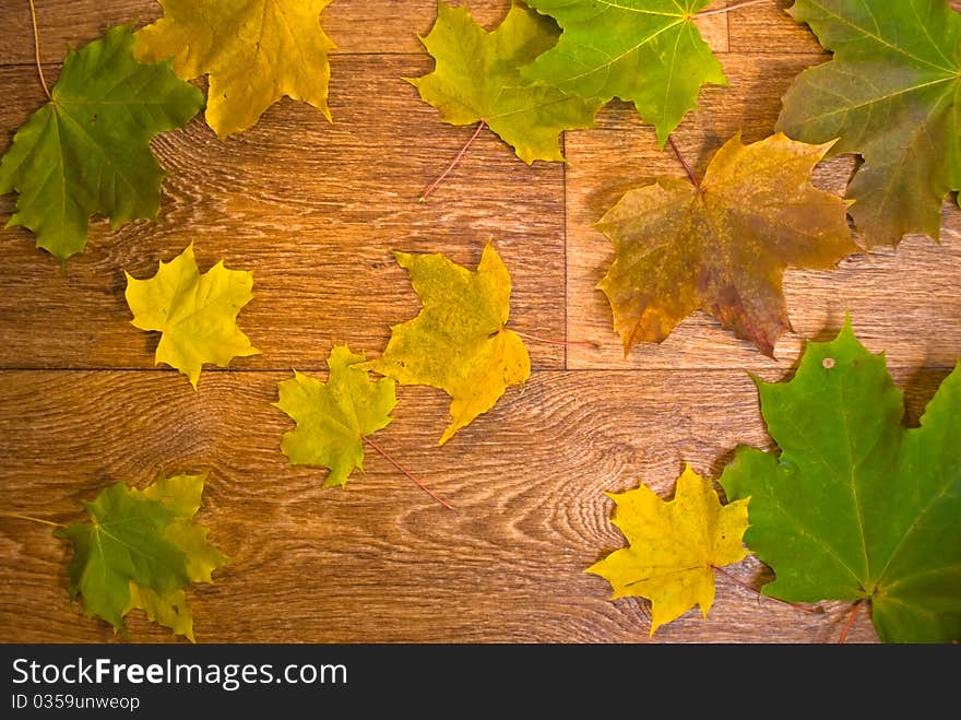 Marple leaves on wooden texture