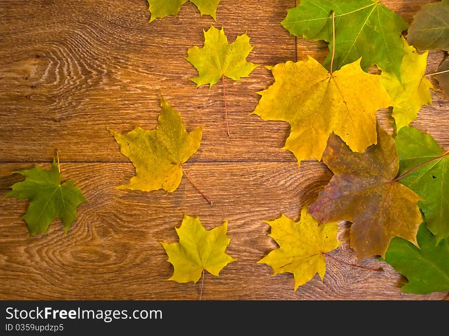 A background from marple leaves over wooden desk. A background from marple leaves over wooden desk