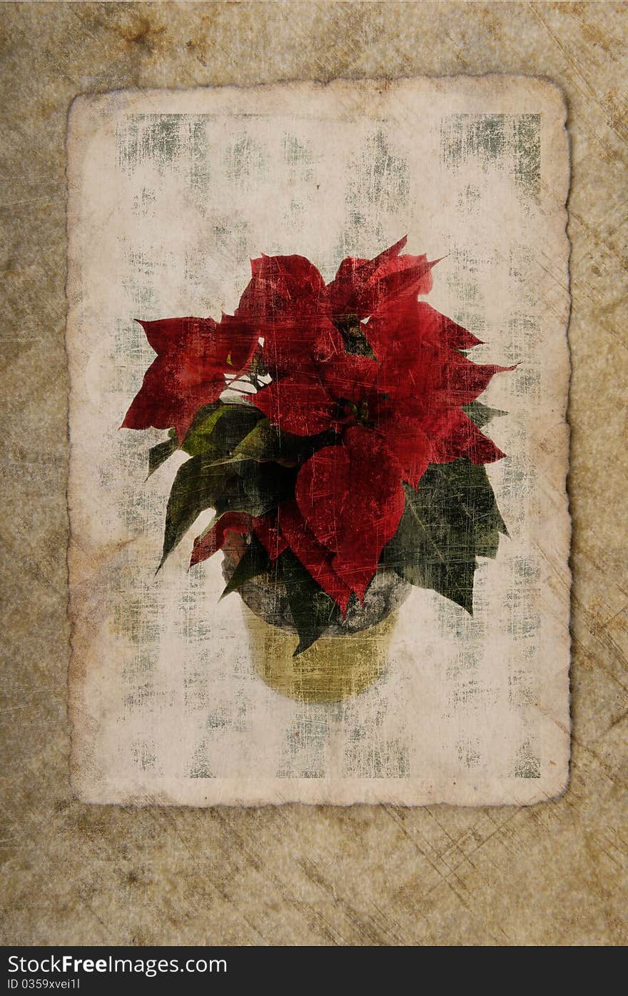 Grungy wallpaper with Christmas decoration. Grungy wallpaper with Christmas decoration