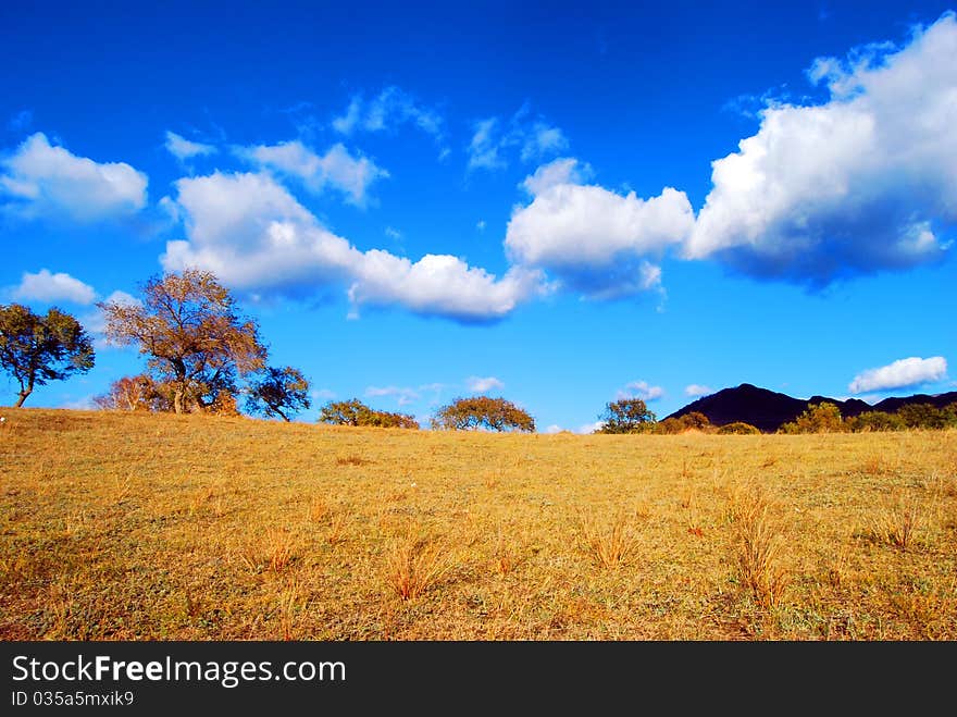 Grass with house and cloud under blue sky. Grass with house and cloud under blue sky.