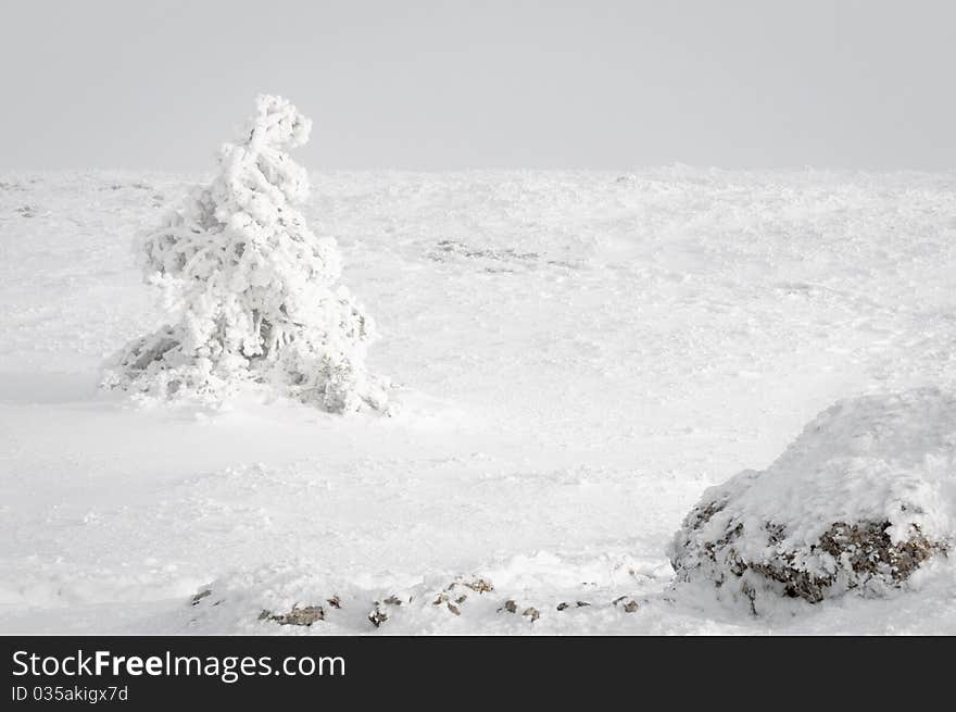 Winter landscape of nature in the mountains. Winter landscape of nature in the mountains