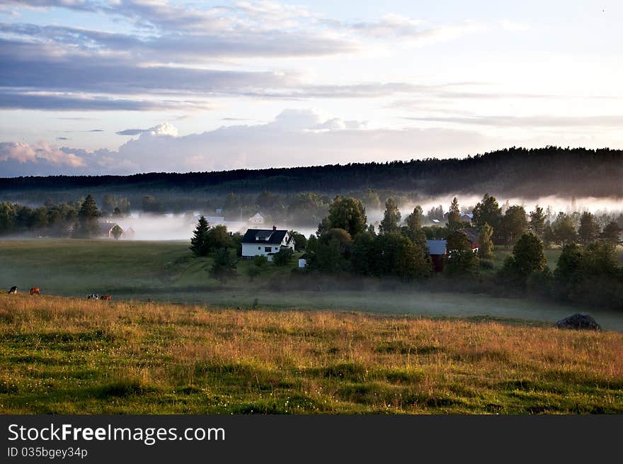 The fog slips in among the houses